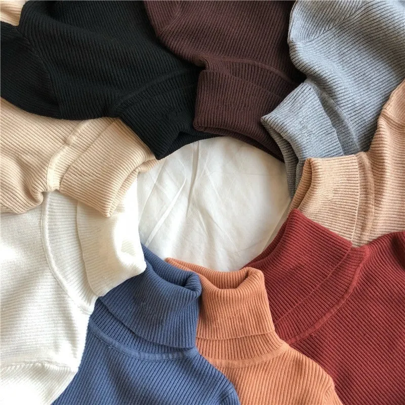 Classic Slim Fit Turtleneck