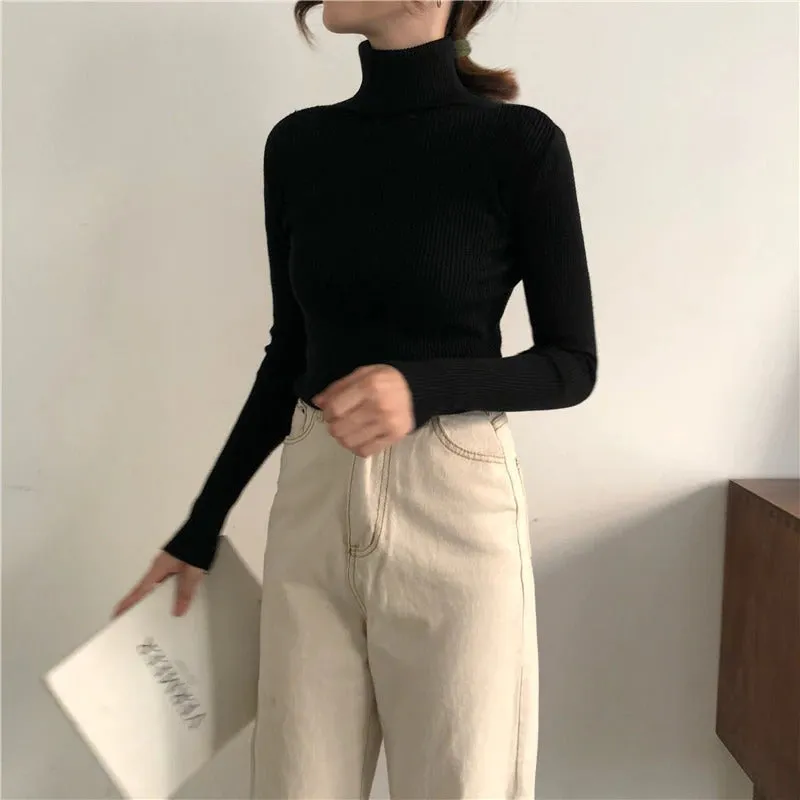 Classic Slim Fit Turtleneck