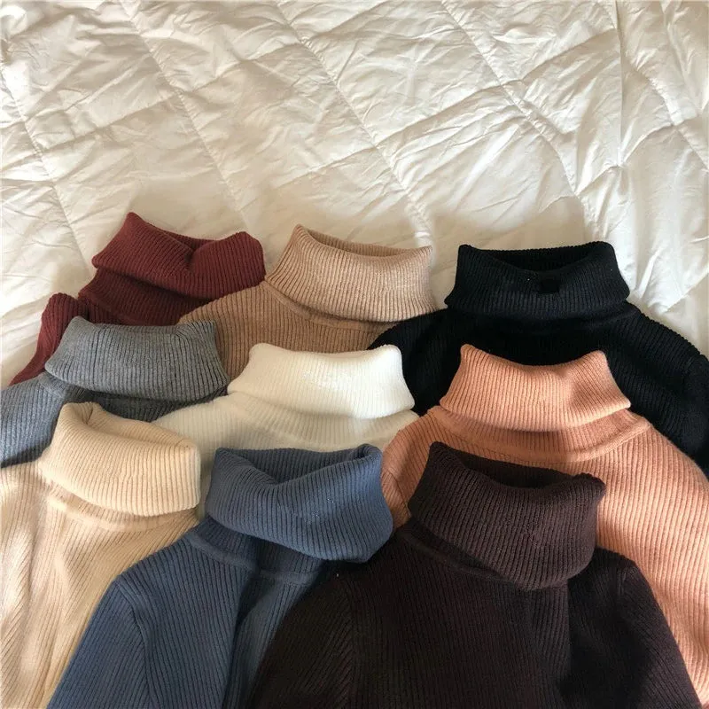 Classic Slim Fit Turtleneck