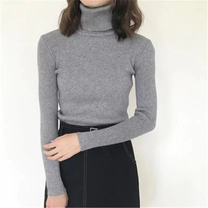 Classic Slim Fit Turtleneck