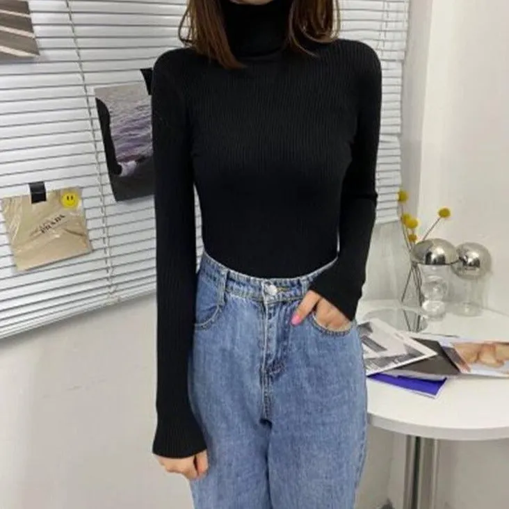 Classic Slim Fit Turtleneck