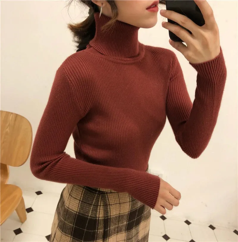 Classic Slim Fit Turtleneck