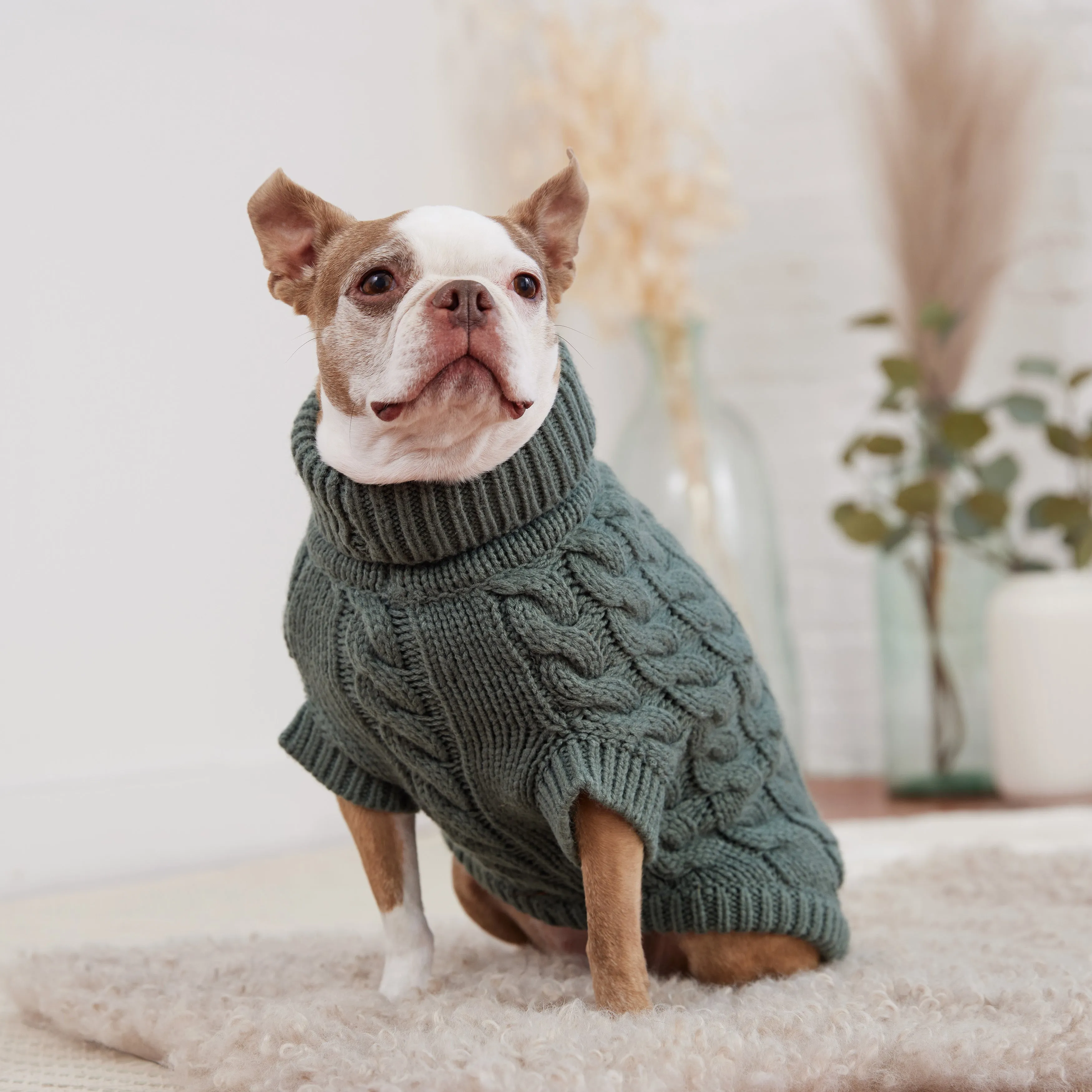 Cozy Sage Chalet Dog Sweater – Warm & Stylish Pet Apparel